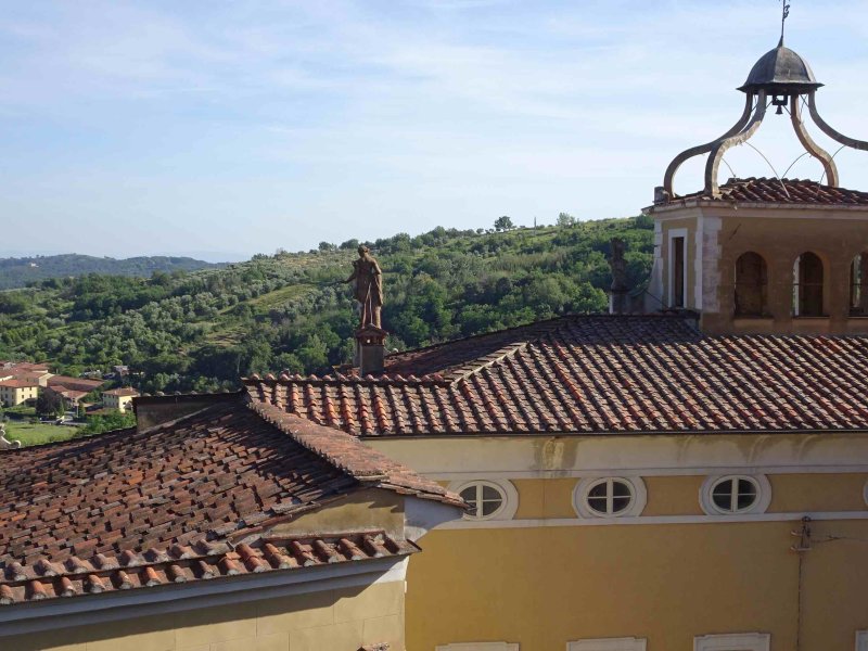 Collodi