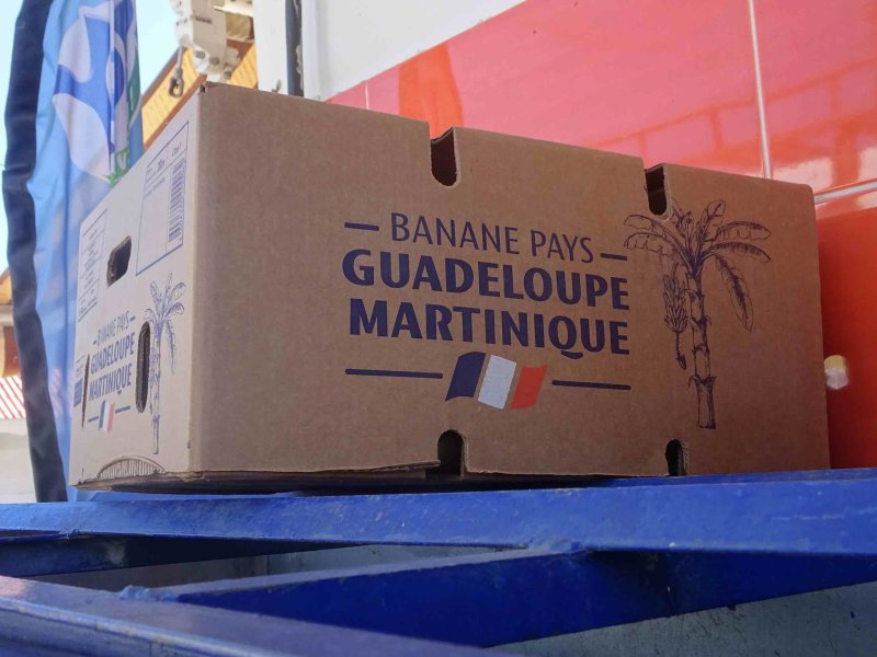 Bananes