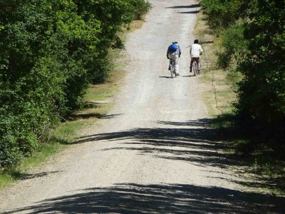 Immigrant workers in the Tuscan vineyards