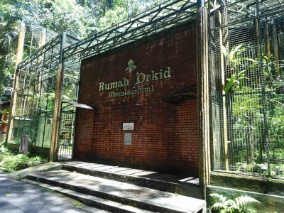 Botanic gardens Penang