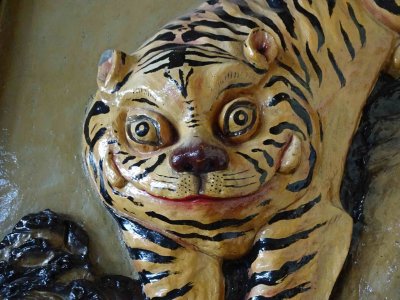 A tiger in my tank