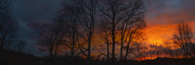 Winter Sunset From My Rear Deck