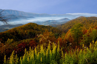 Sunlight on an Autumn Hillside 