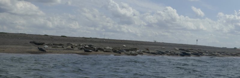 Blakeney