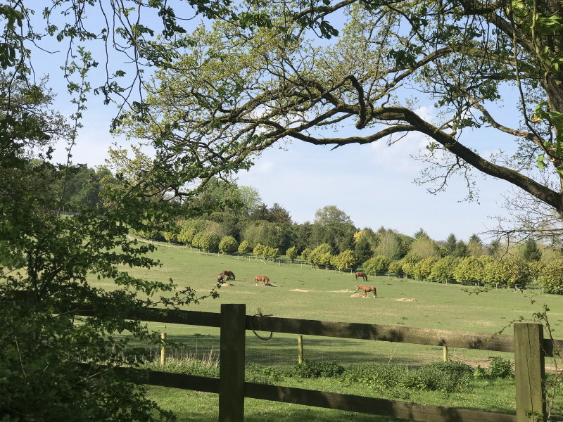 20200411_henley_countryside_resize.jpg