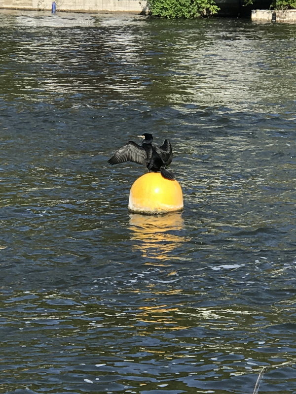 Riverside