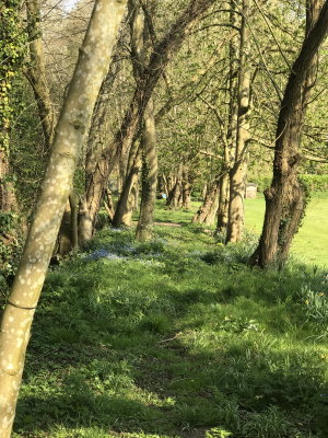 Henley countryside