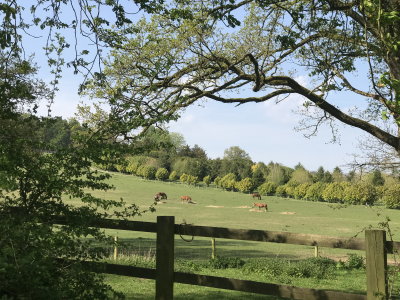 20200411_henley_countryside_resize.jpg