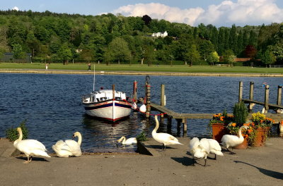 Riverside