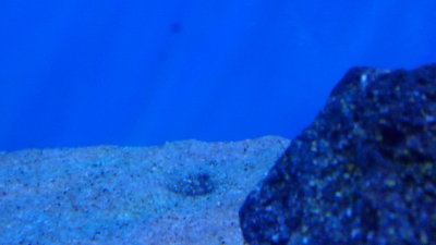 g12/42/585842/3/172938187.Hfd0sCWI.jpg
