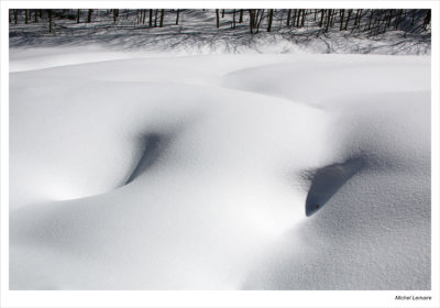 Neige30w.jpg