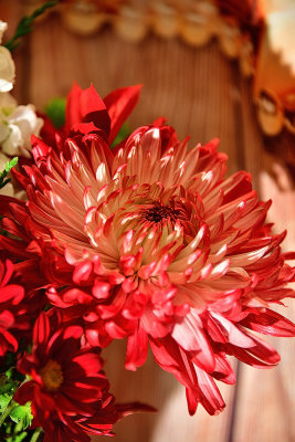 Red Satin Dahlia