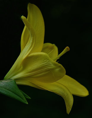 g12/42/822742/3/172656762.as9t46x8.jpg
