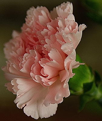 g12/42/822742/3/172752515.iYmRU2Zd.jpg