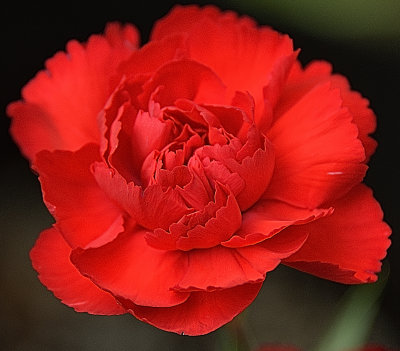 g12/42/822742/3/172766584.83r533dP.jpg