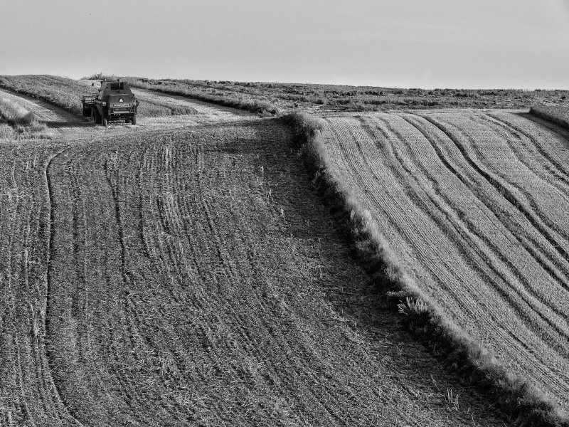xP1140763-Edit.jpg