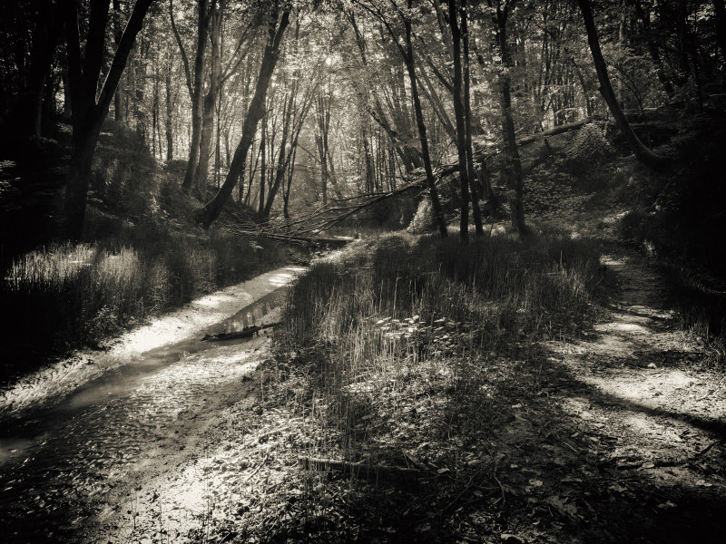 xP1140607-Edit-3.jpg