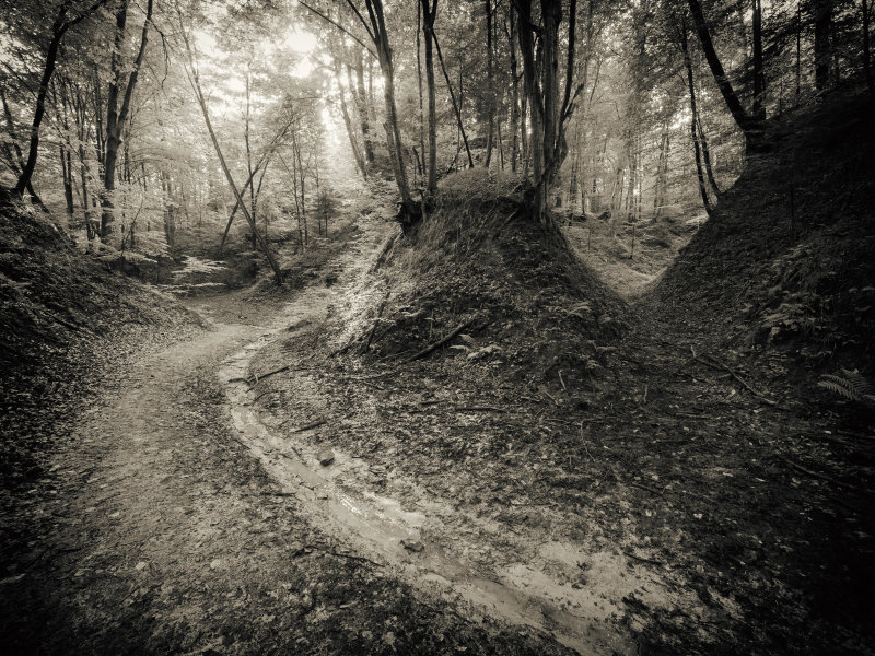 xP1140620-Edit.jpg
