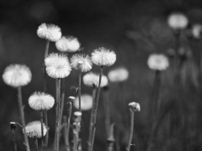 g12/42/927042/3/170755520.FA4f1Fs4.jpg