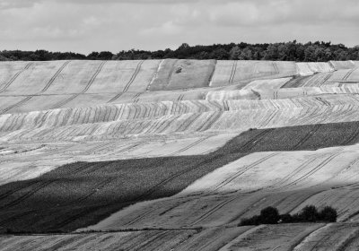 xP1140268-Edit.jpg