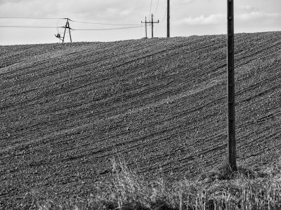 xP1140739-Edit.jpg