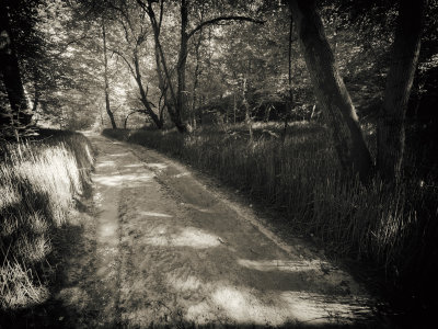 xP1140598-Edit.jpg