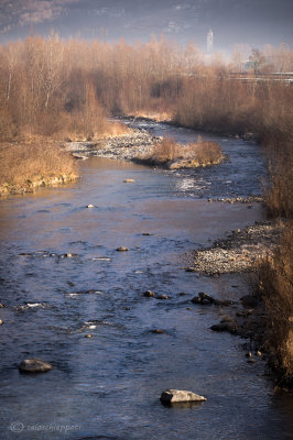 Il fiume Adda a Lovero(SO)