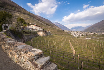 Tenuta La Gatta - Triacca a Bianzone (So)