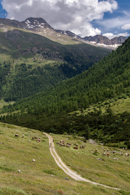 Livigno