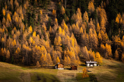 Livigno(So)