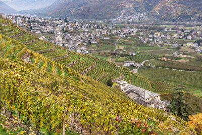 Tenuta La Gatta,Triacca-Bianzone(So)