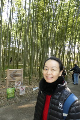 Bamboo Forest