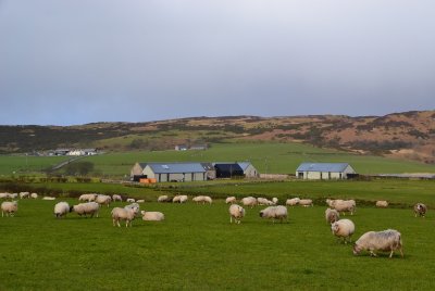 g12/43/278043/3/170509215.ee3Au8yl.jpg