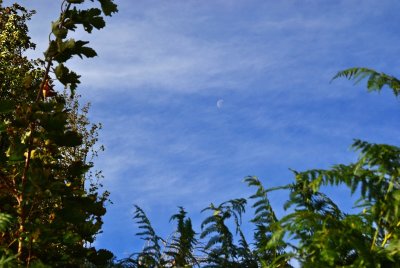 g12/43/278043/3/172000745.l68ybNFG.jpg