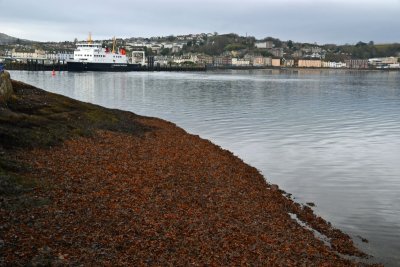g12/43/278043/3/172300724.xw7JL7uU.jpg