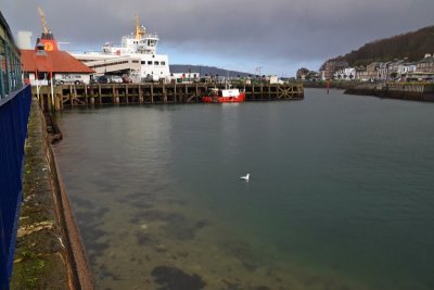 g12/43/278043/3/172338335.RC1ysxjf.jpg