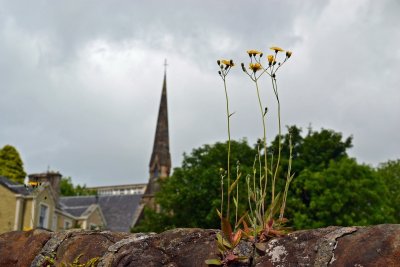 g12/43/278043/3/172677859.TdXVsvc8.jpg