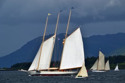 g12/43/278043/3/172680813.o2xhh6qR.jpg