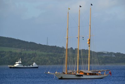g12/43/278043/3/172684620.SefZynWz.jpg