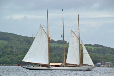 g12/43/278043/3/172684636.K1JCngxr.jpg