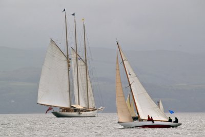 g12/43/278043/3/172684638.jR6fD5Ly.jpg