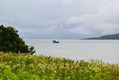 g12/43/278043/3/172727041.jJCsZkCD.jpg