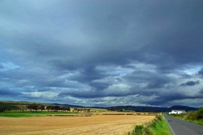 g12/43/278043/3/172947448.X6yfSX62.jpg