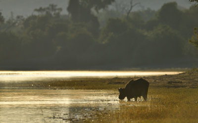3. Botswana 2022 Wildlife