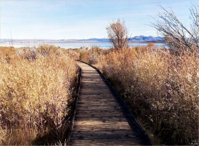 Lake Path