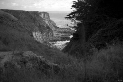 Waves and Time...