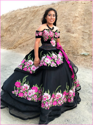 The Quinceañera in the Crowd 