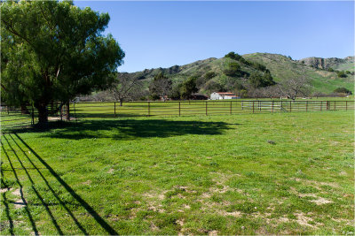 Winter Grass At Cañada Larga Road Ranch