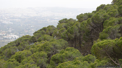 Mijas hill