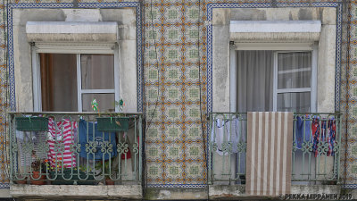 Two Lisbon windows